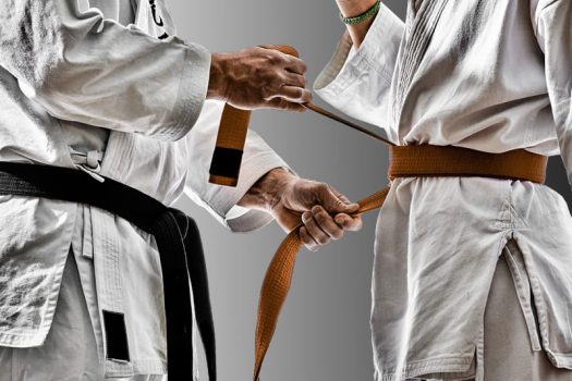 billing-services-martial-arts-training