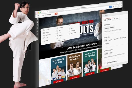 Martial Arts Websites Design